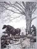 Horses Sapping Pen & Ink Print